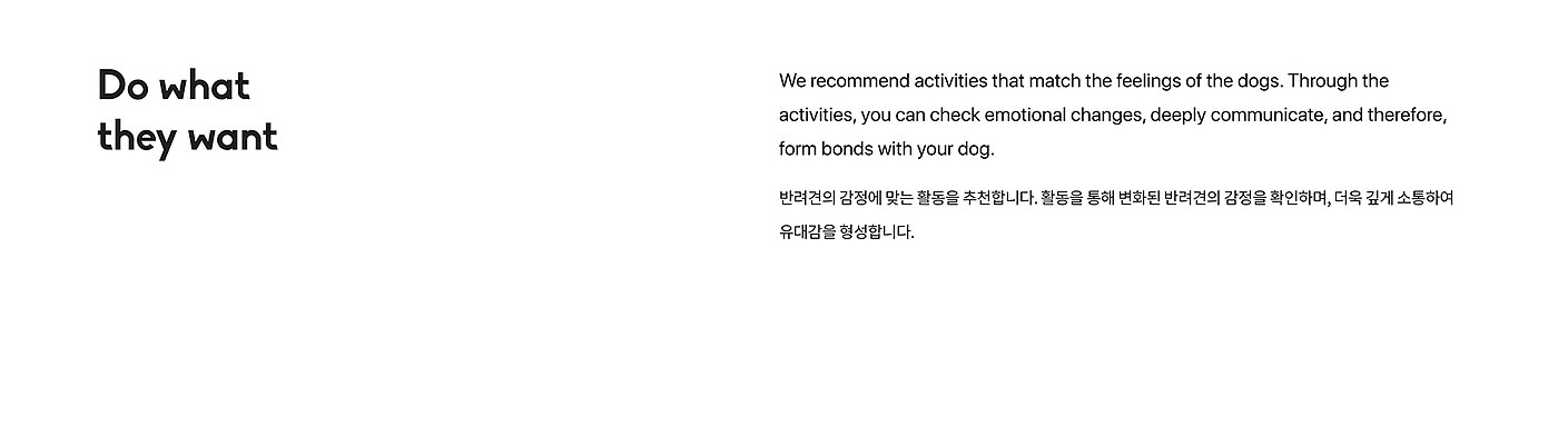 Let pets really become a member of the family，