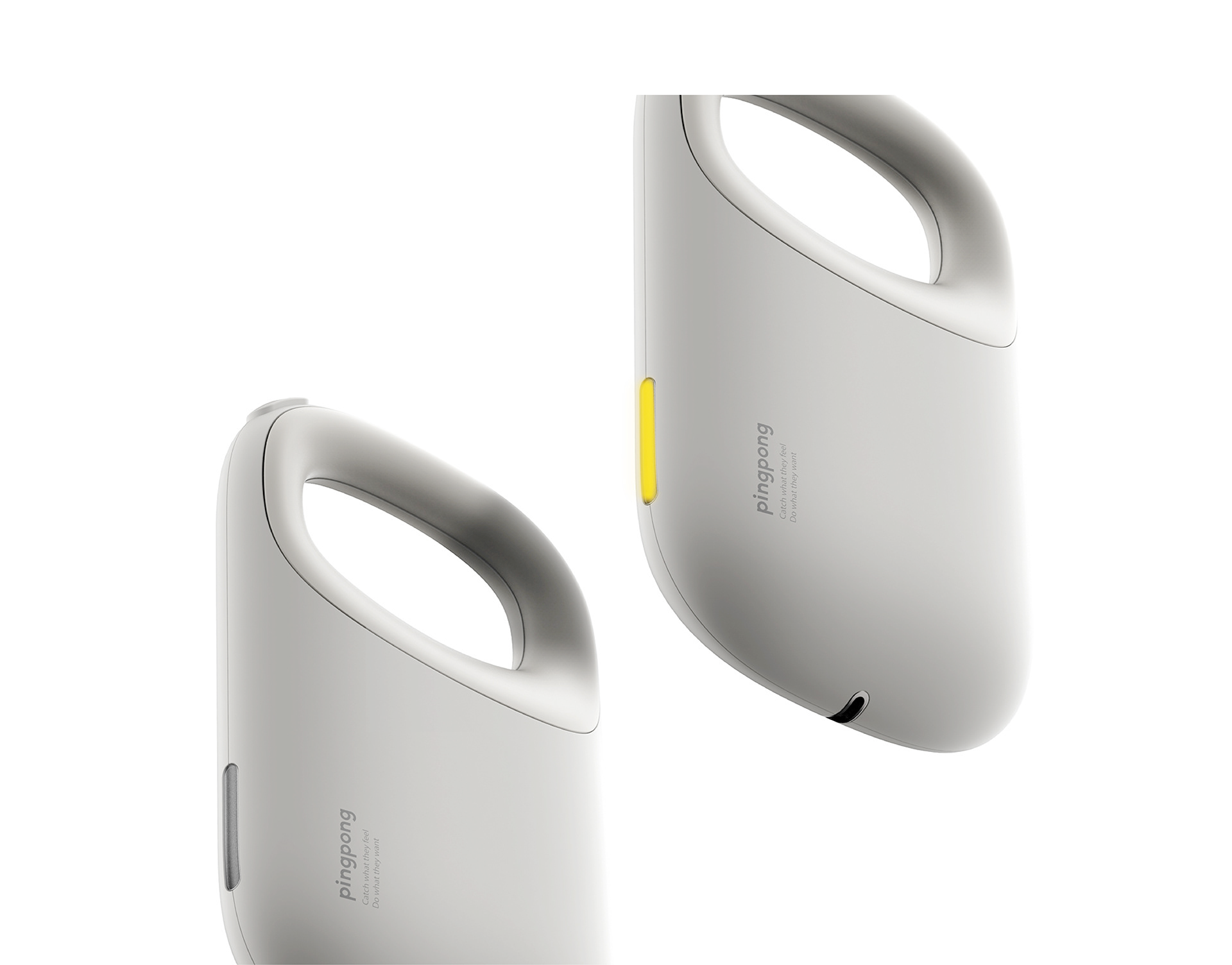 Let pets really become a member of the family，