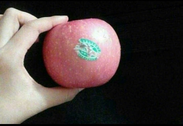 Socket，label，mosquito-repellent incense，chair，Fire Engine Access，