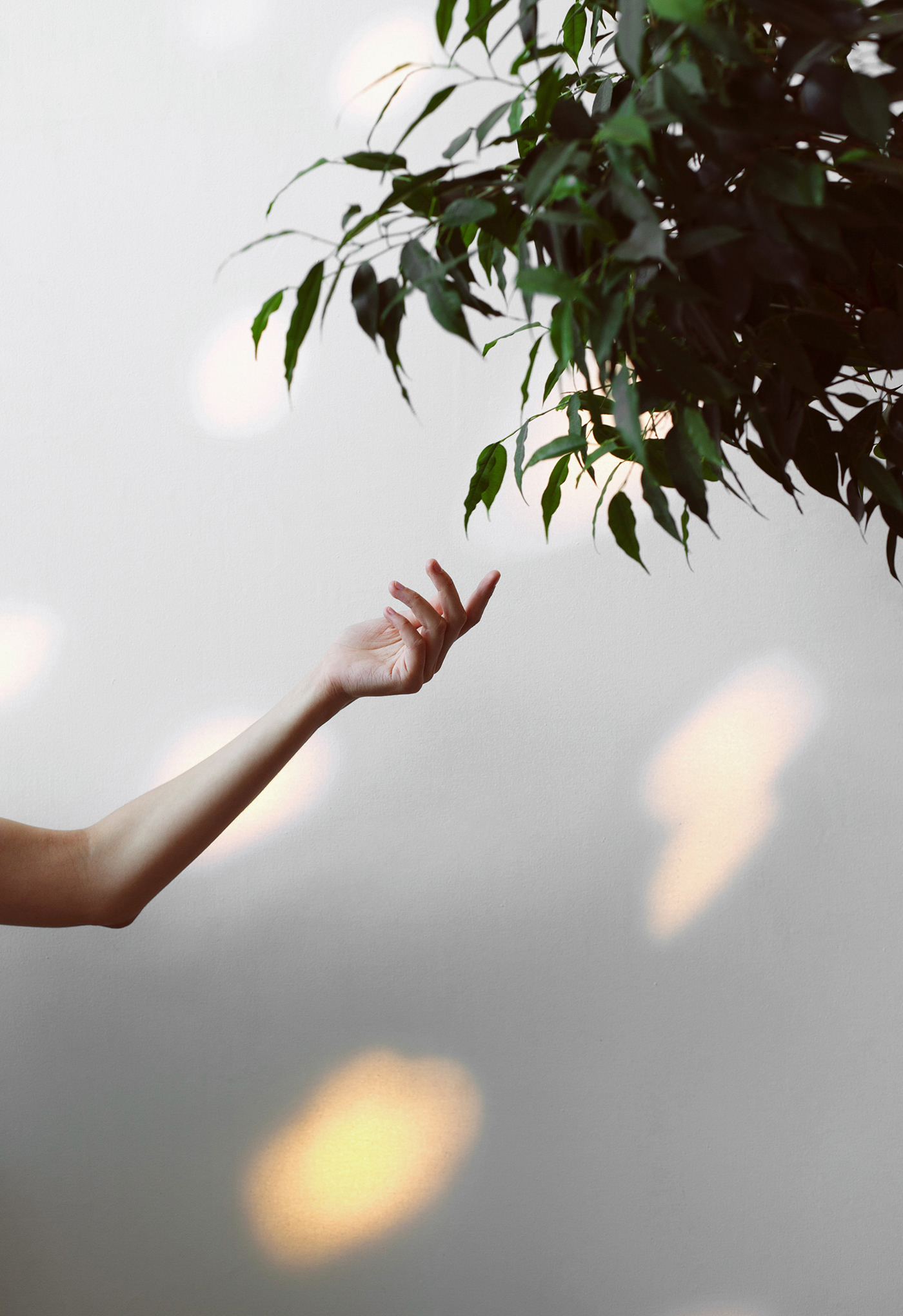 eternal，beautiful，Instantaneous light，lamps and lanterns，