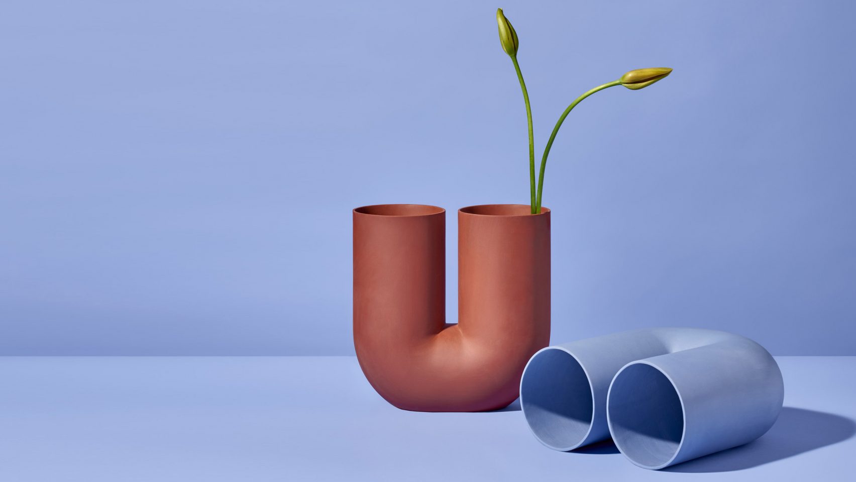 product design，Home Furnishing，Playful，