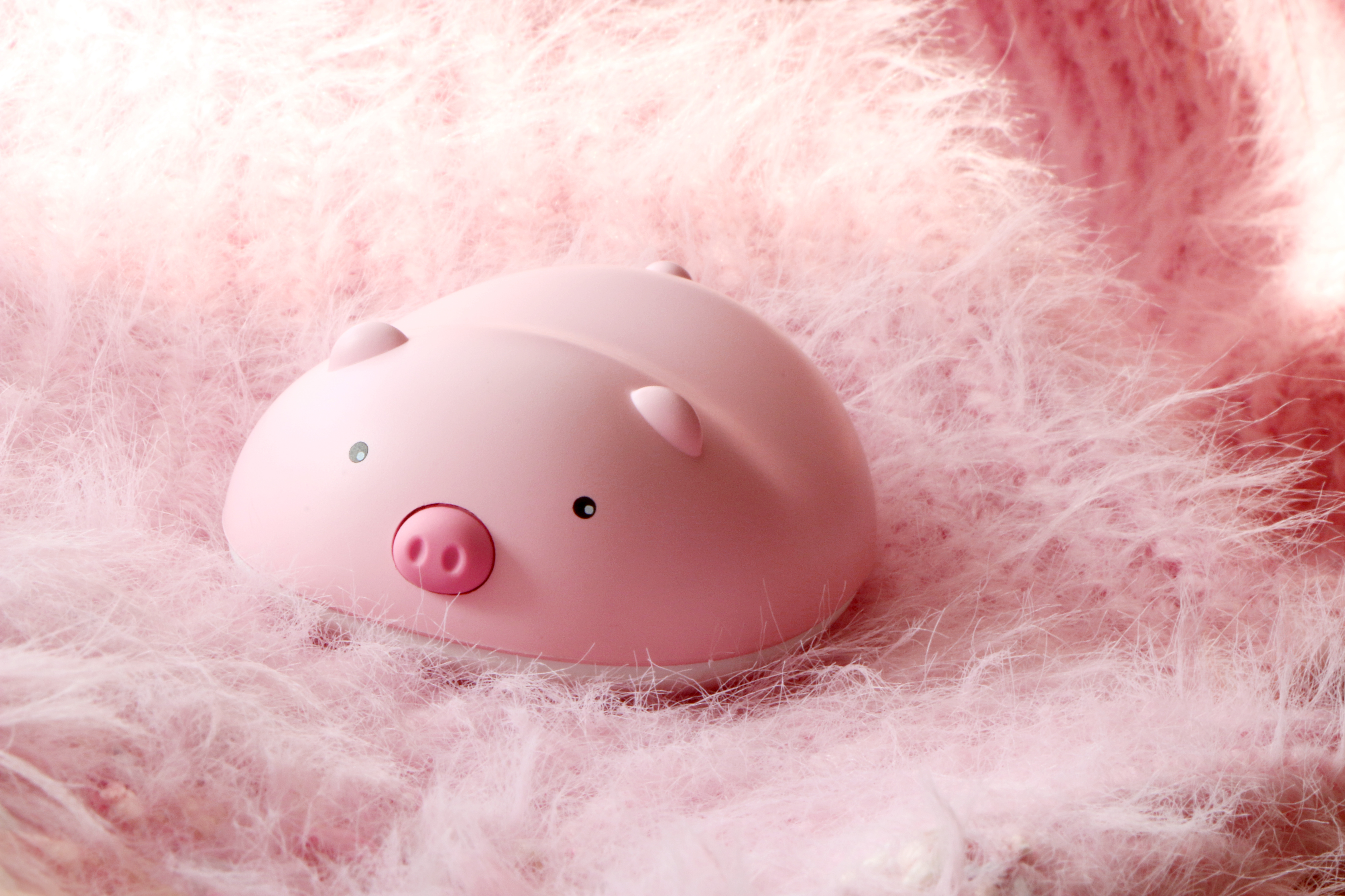 Warm heart and cute pet at home，No need to shovel excrement. It's not sticky. It's cute and cured，