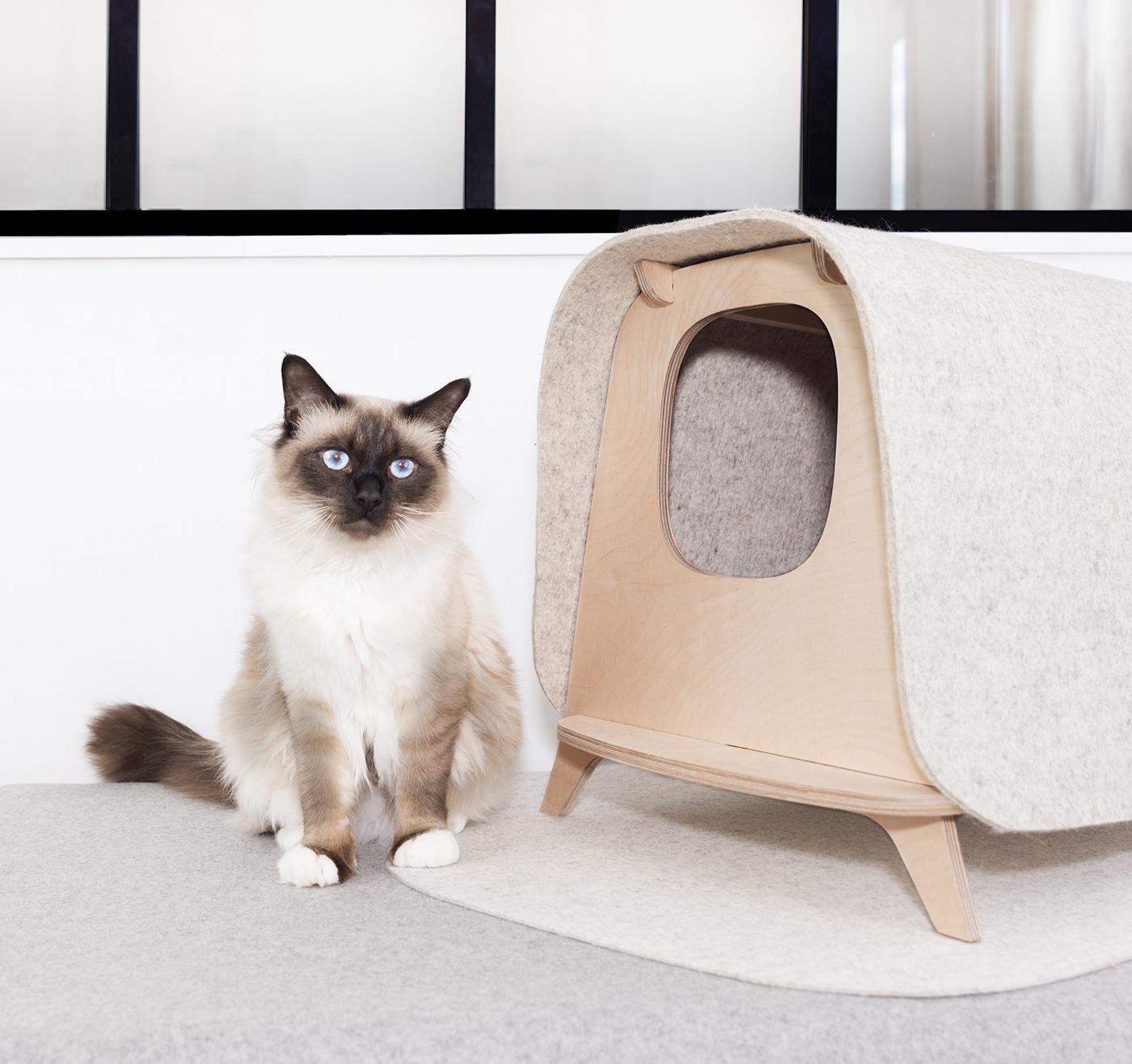 Wool felt，birch，Pet nest，WOOL LODGE，sketch，Pet Supplies & Pet，