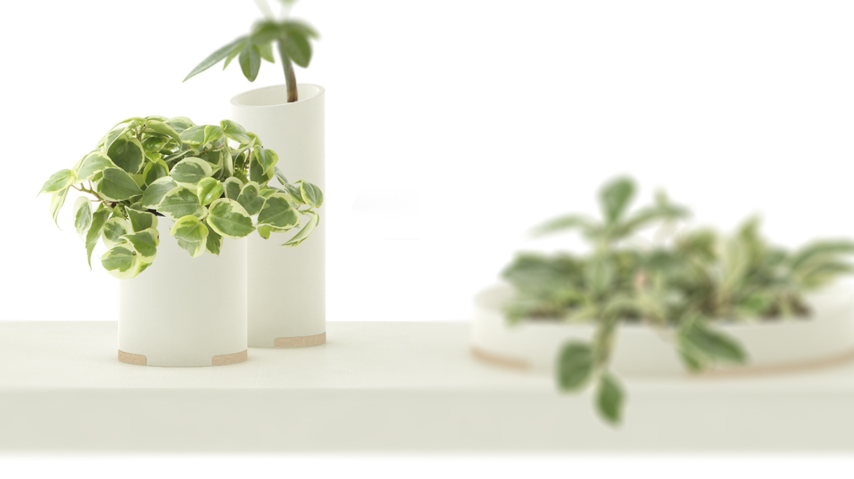 Home Furnishing，office，Botany，Flowerpot，fresh，white，