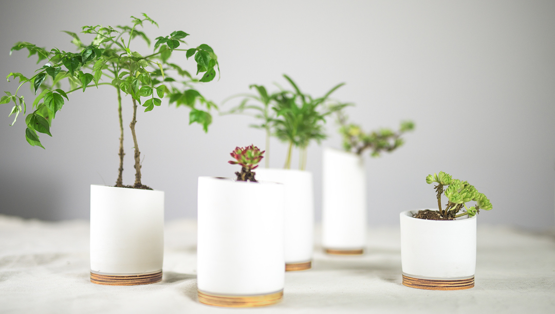 Home Furnishing，office，Botany，Flowerpot，fresh，white，