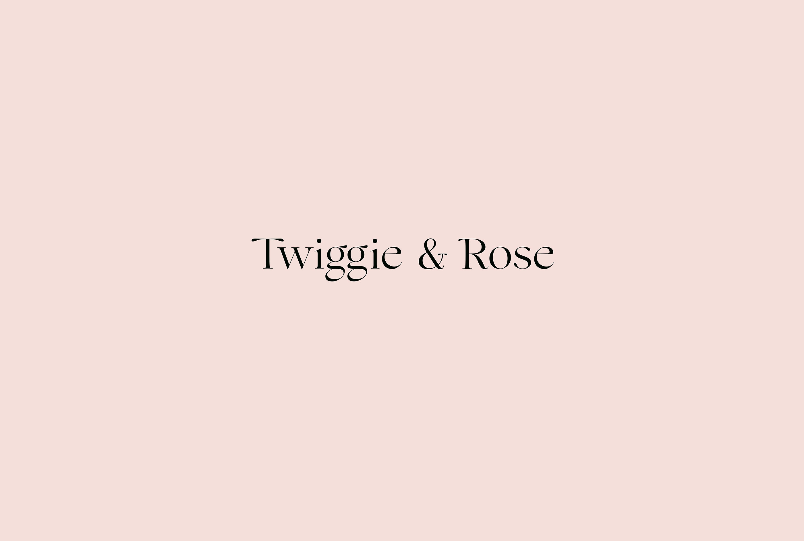 VI design，essential oil，Twiggie & Rose，