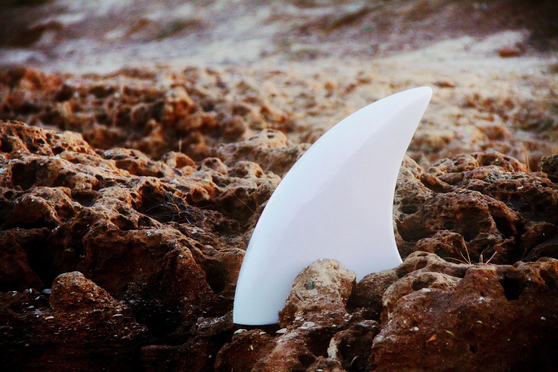 SHARK LAMP，Lamp design，white，