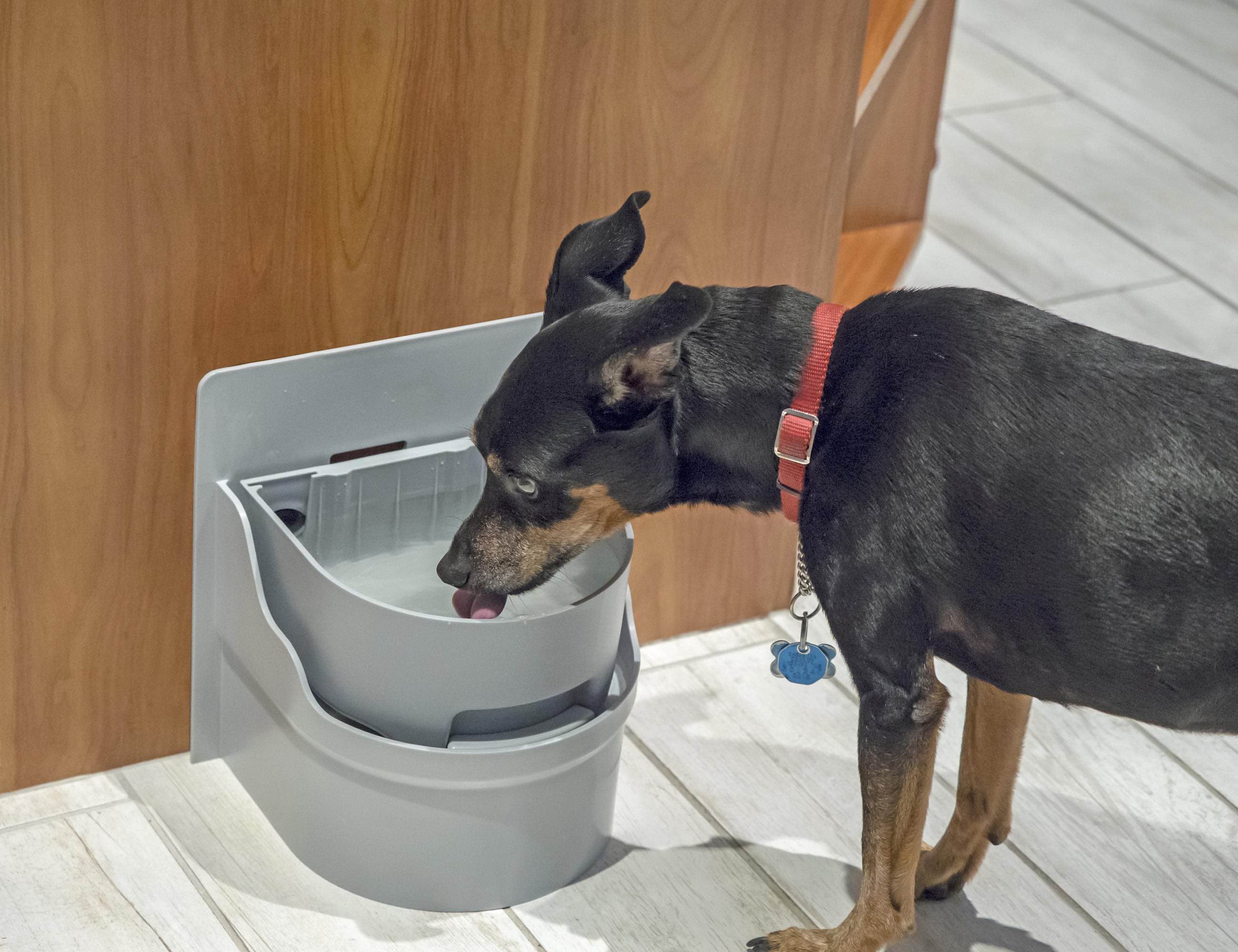 grey，container，Well Pet，