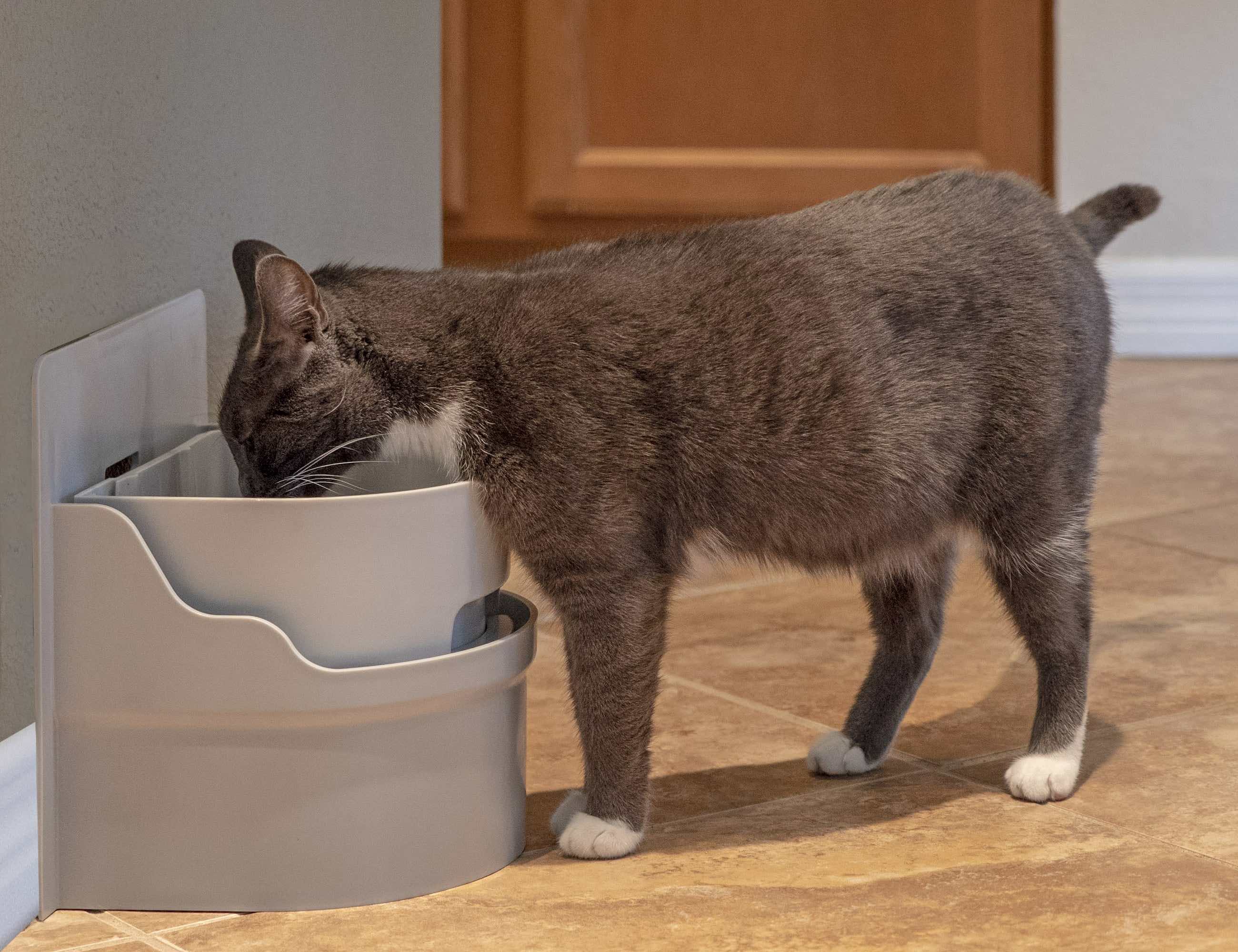 grey，container，Well Pet，