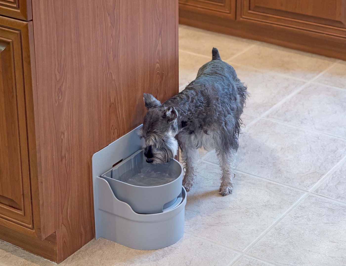 grey，container，Well Pet，
