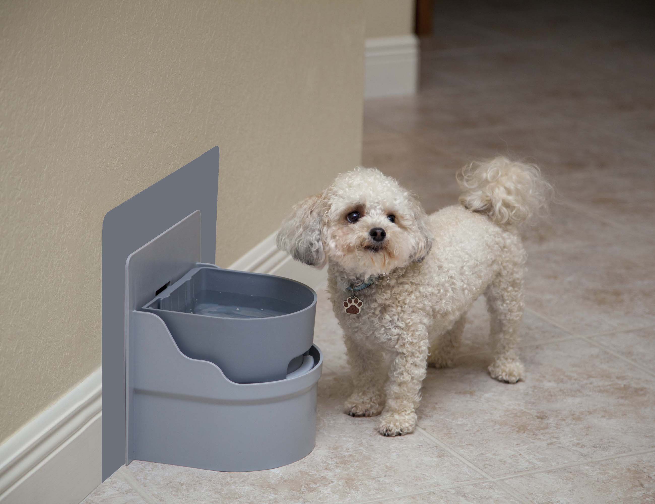 grey，container，Well Pet，