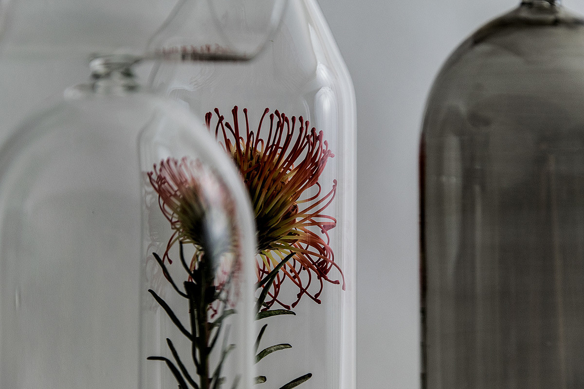 玻璃，钟罩，硼硅酸盐玻璃，Bell Jar，Muse，Davide Aquini，花瓶，家居，