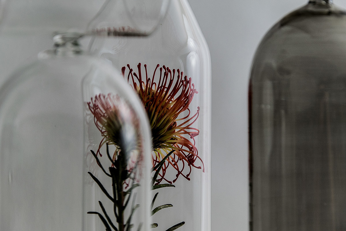 Glass，Bell jar，Borosilicate glass，Bell Jar，Muse，Davide Aquini，vase，Home Furnishing，