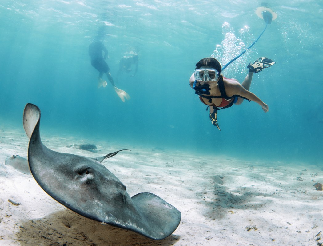 product design，Outdoor equipment，Diving equipment，Nemo，