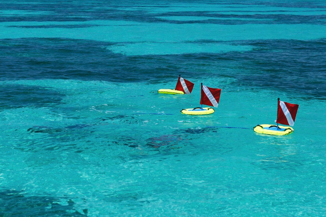 product design，Outdoor equipment，Diving equipment，Nemo，