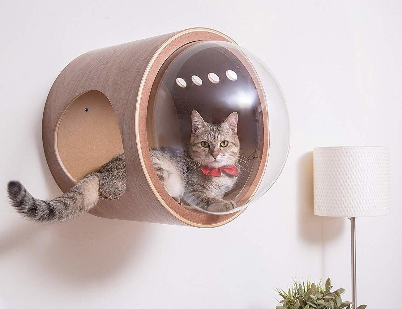 Home furniture，Cat climbing frame，myzoo，