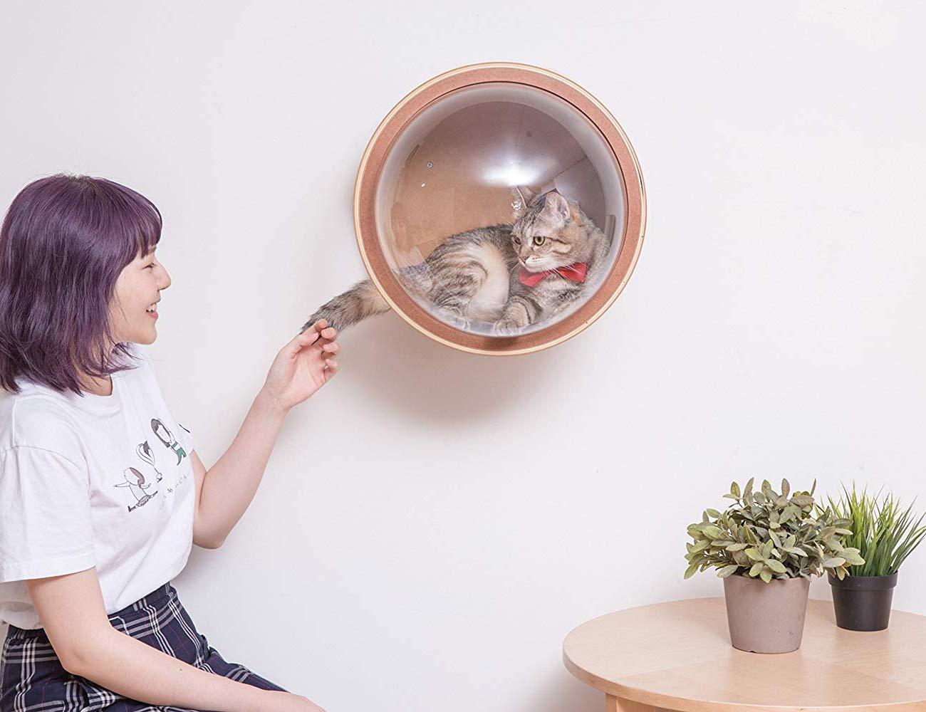 Home furniture，Cat climbing frame，myzoo，