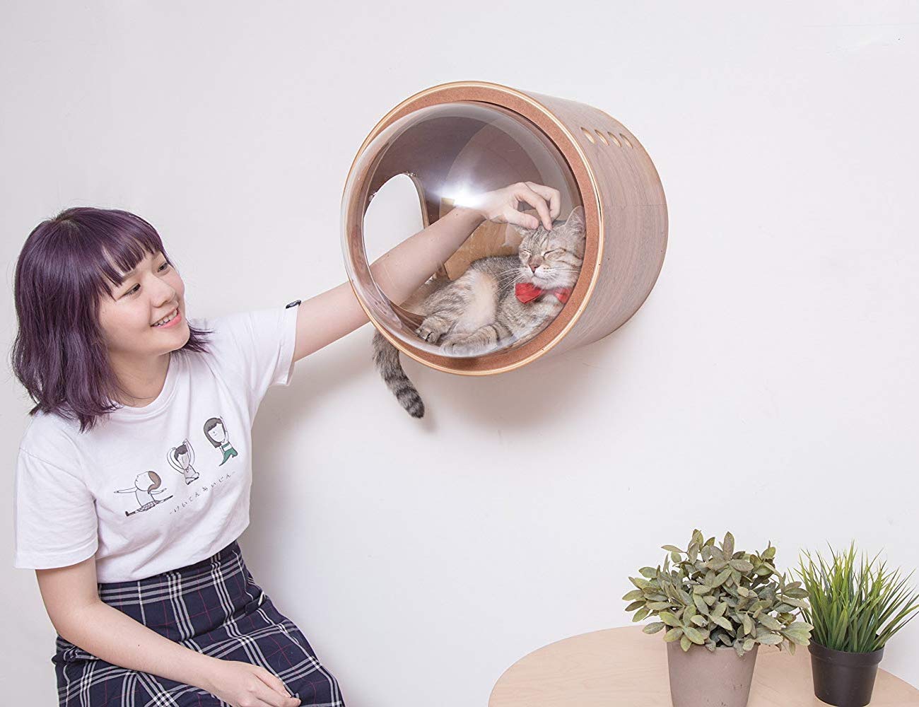 Home furniture，Cat climbing frame，myzoo，