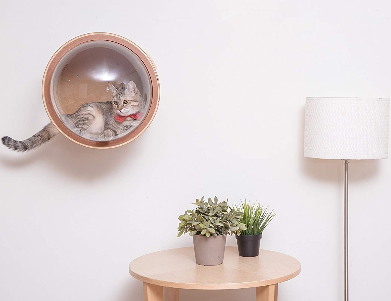 Home furniture，Cat climbing frame，myzoo，