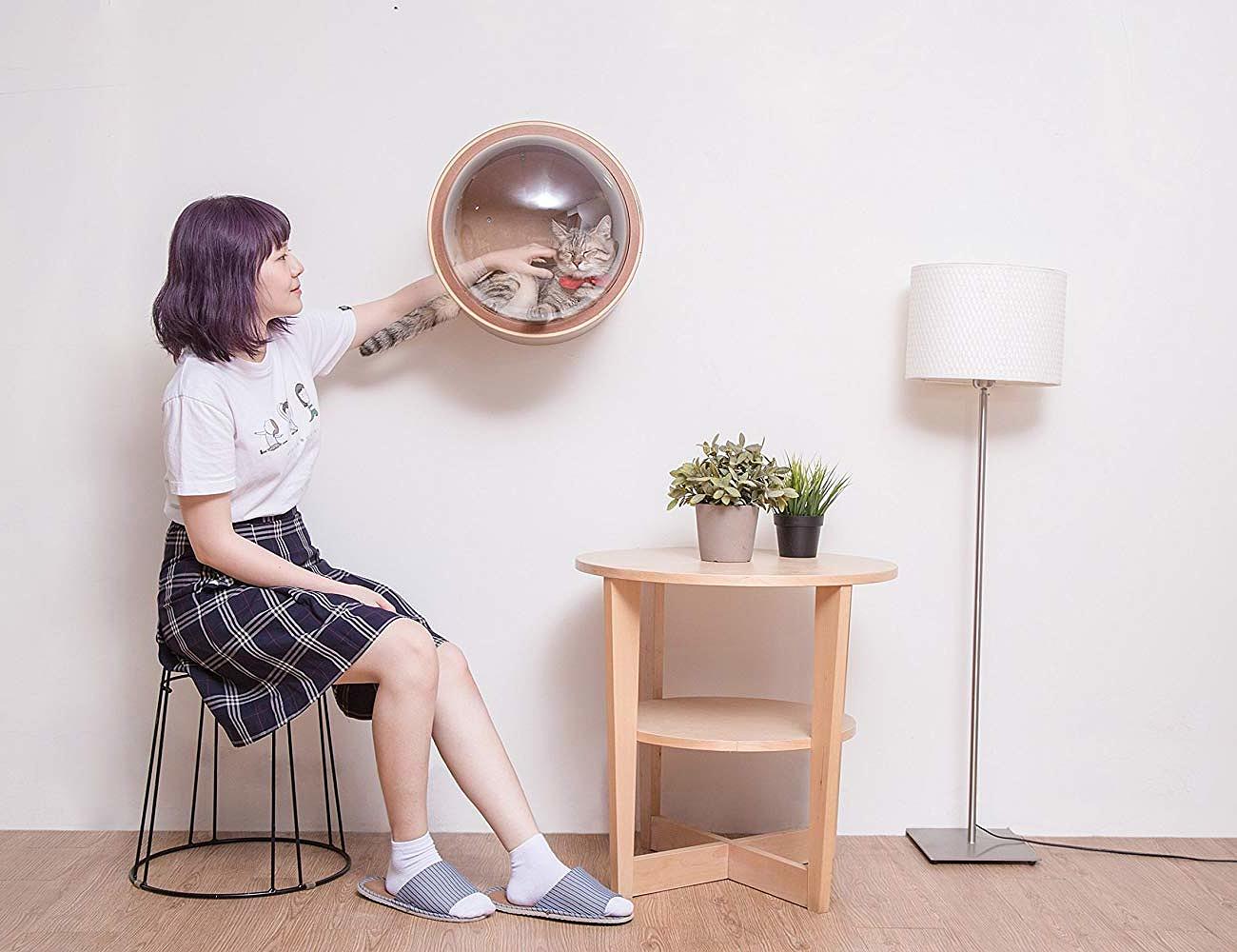 Home furniture，Cat climbing frame，myzoo，