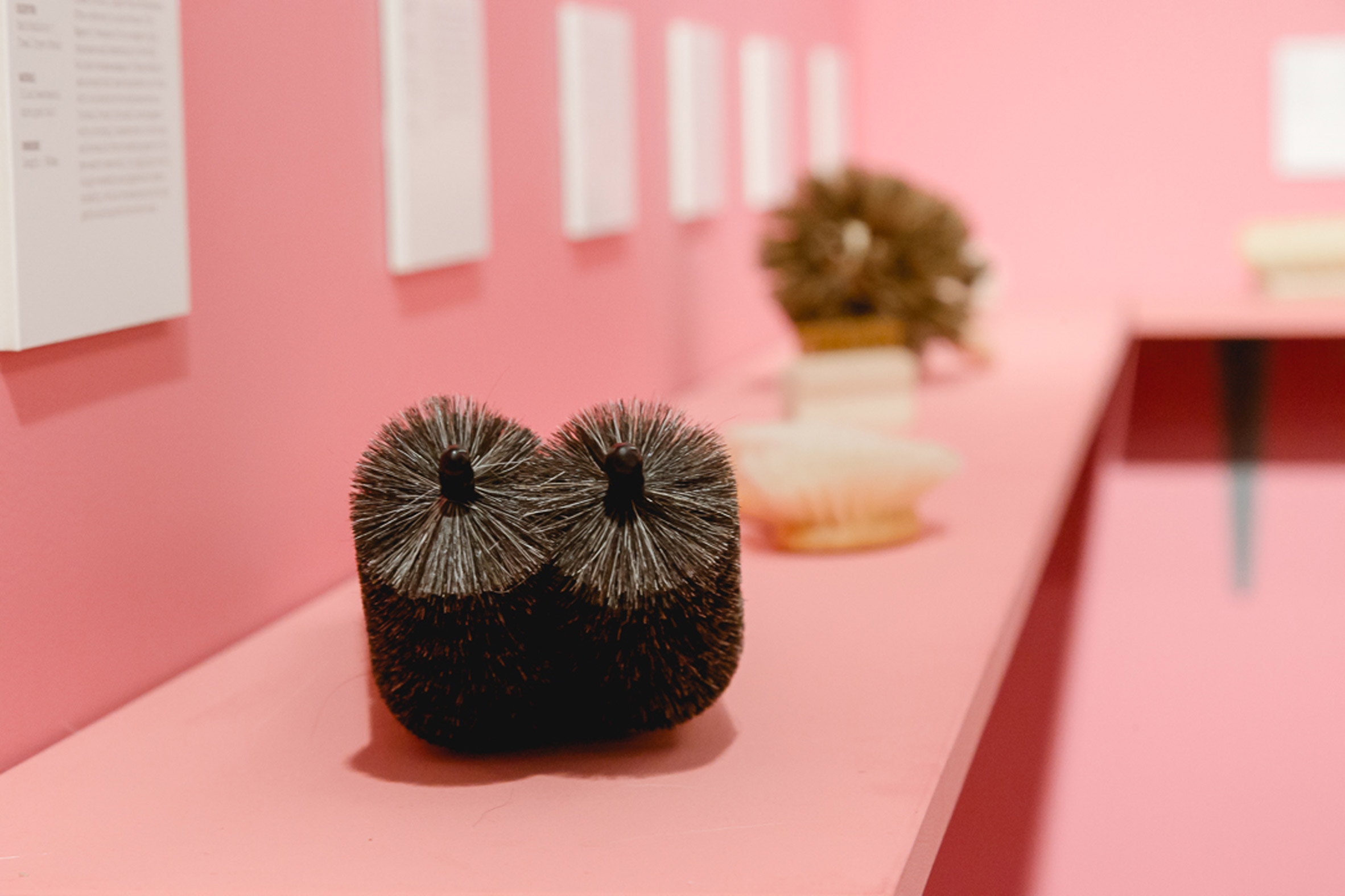 brush，Pink，exhibition，