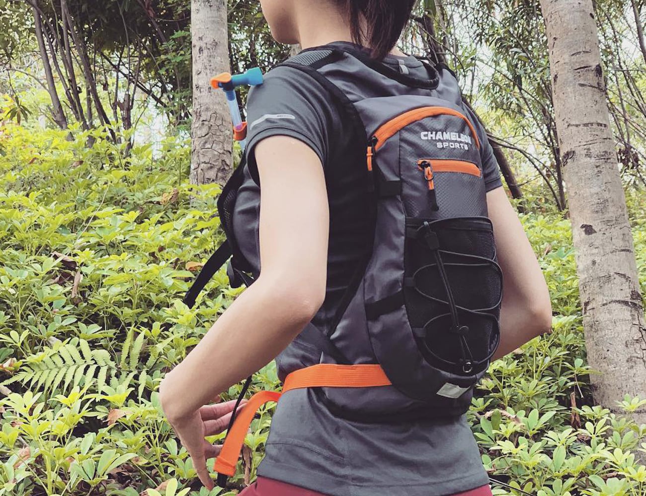 drinking water，Chameleon，water，knapsack，motion，outdoors，