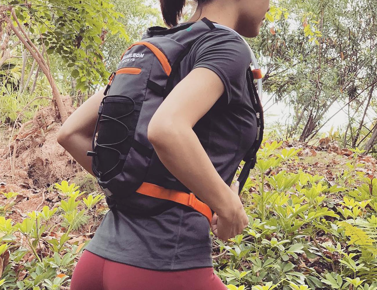 drinking water，Chameleon，water，knapsack，motion，outdoors，