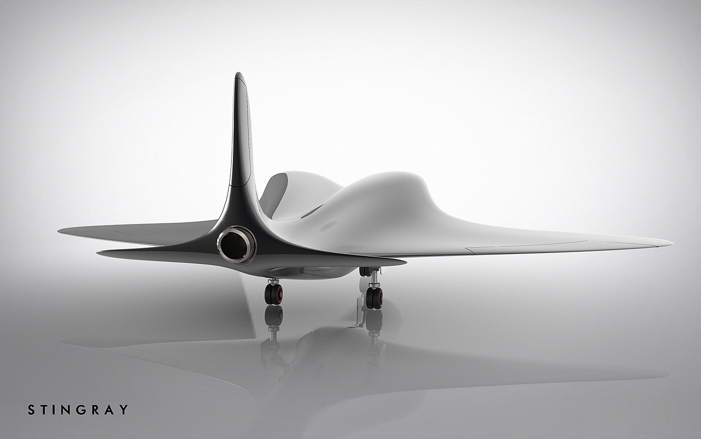 Stingray，Jet aircraft，