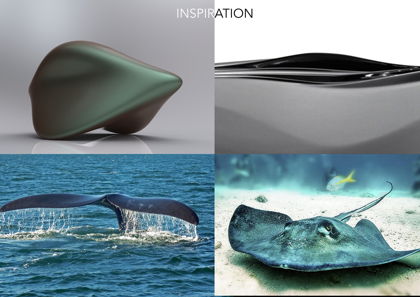 Stingray，Jet aircraft，