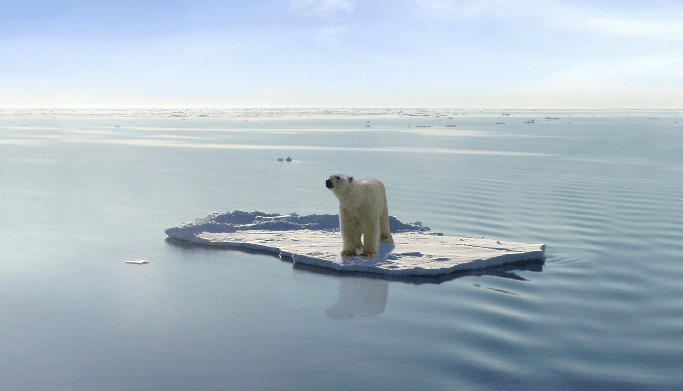 北极熊，餐巾纸，环保，雕塑，