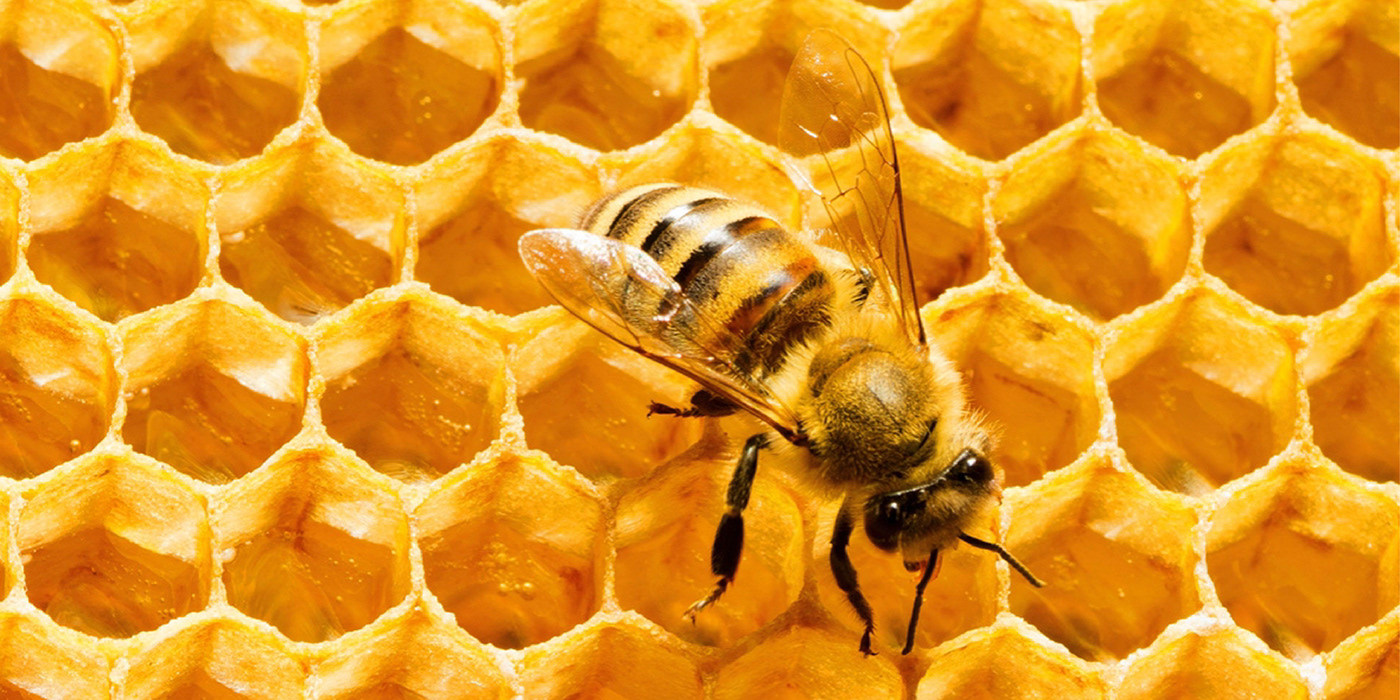 Son of JeongHwan，UAV，gules，intelligence，If design talent award，idea，Pin up Conceptual Design Award，B Drone，disaster，rescue，