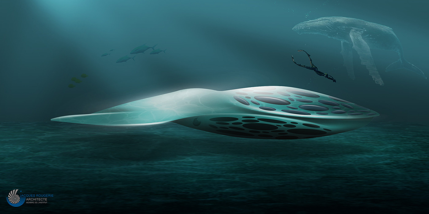 concept，submarine，bionics，diving，