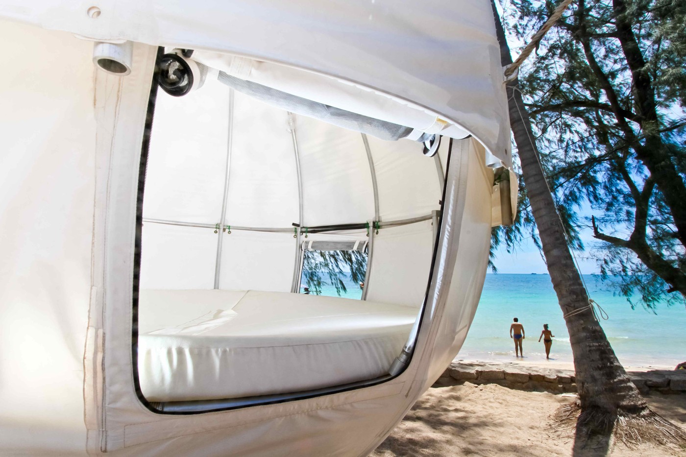 Tree House，cocoon，Interior design，