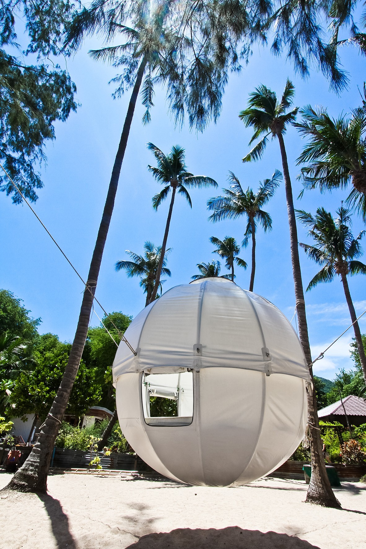 Tree House，cocoon，Interior design，