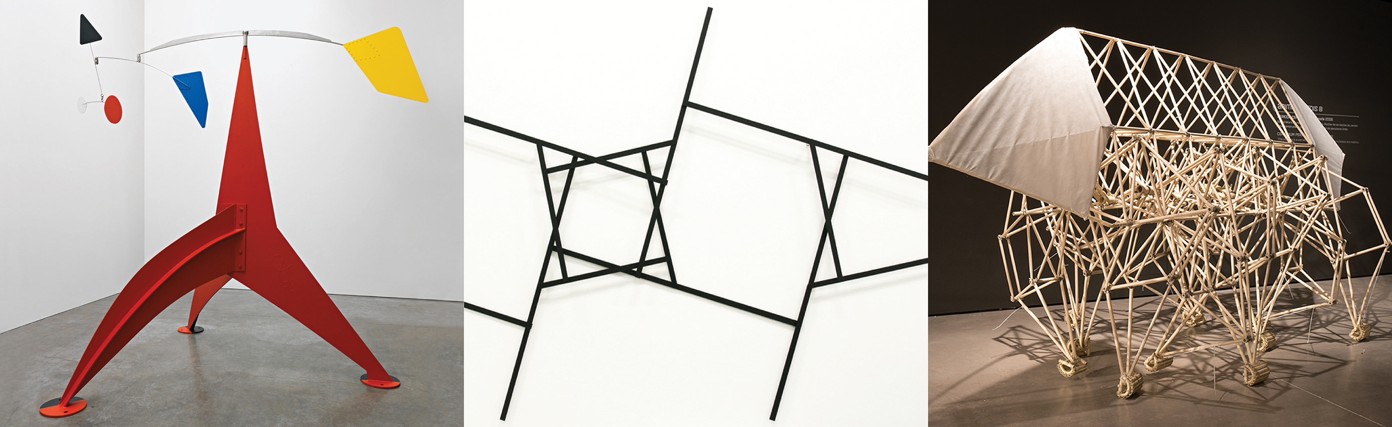 beautiful，Router，wifi，