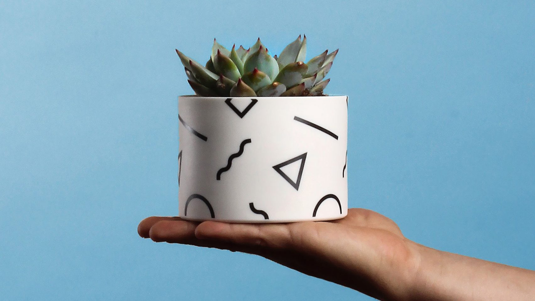 Memphis，Color matching，pattern，vase，