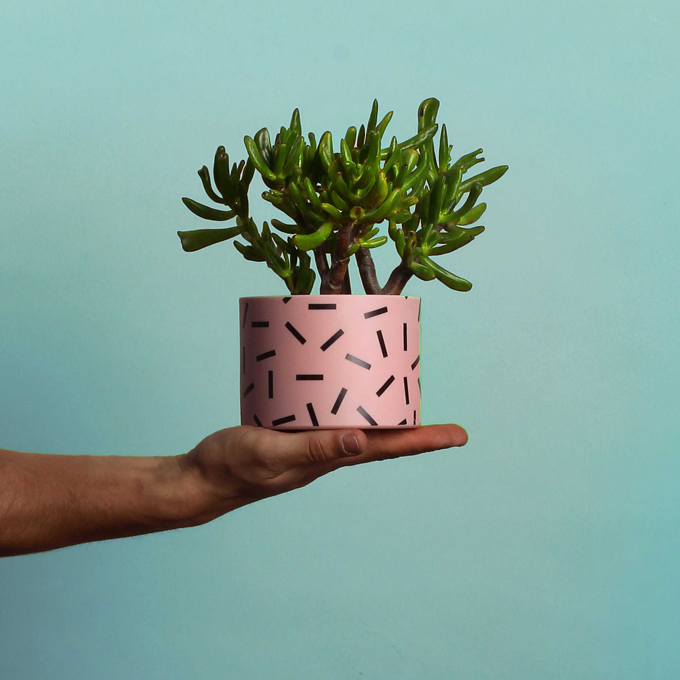 Memphis，Color matching，pattern，vase，