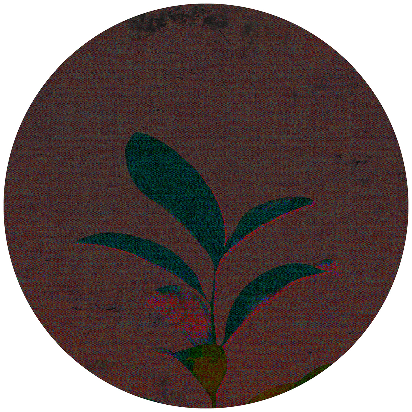 flower，Japanese flower，carpet，Home Furnishing，texture，