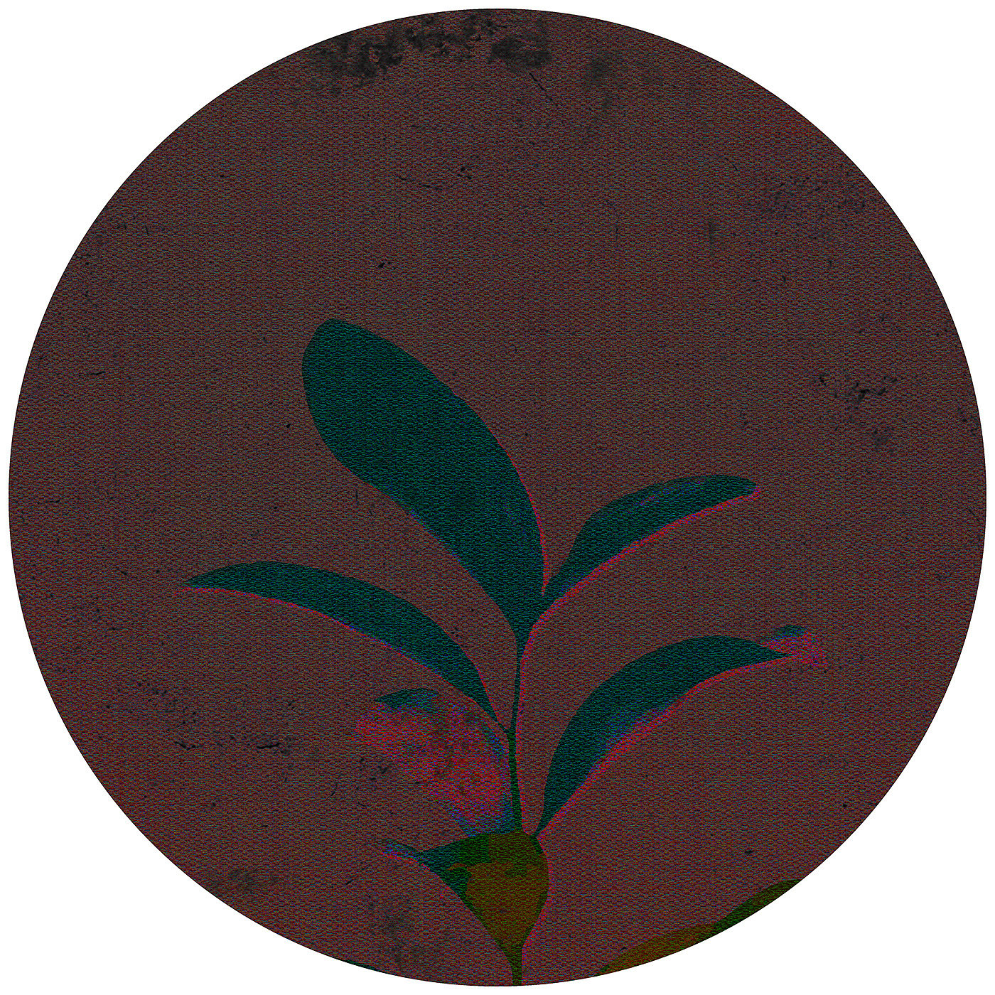 flower，Japanese flower，carpet，Home Furnishing，texture，