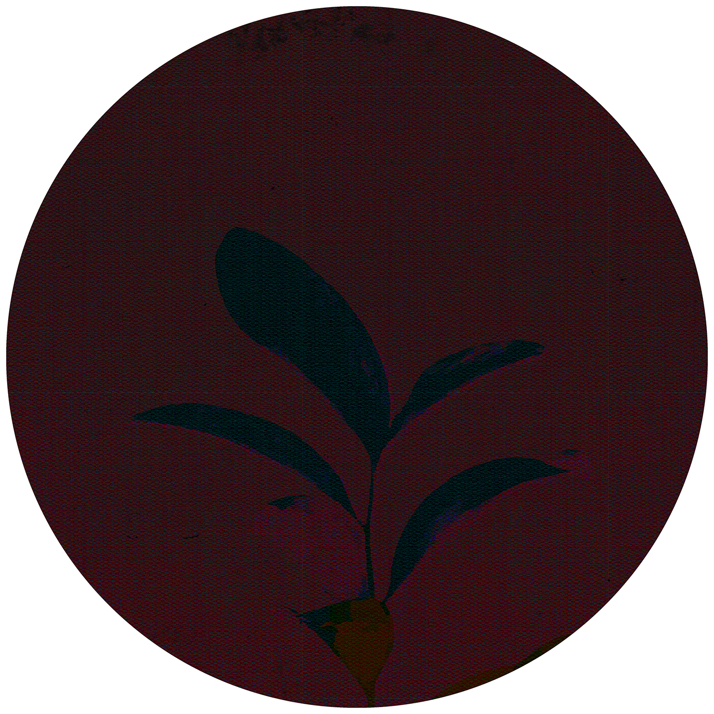 flower，Japanese flower，carpet，Home Furnishing，texture，