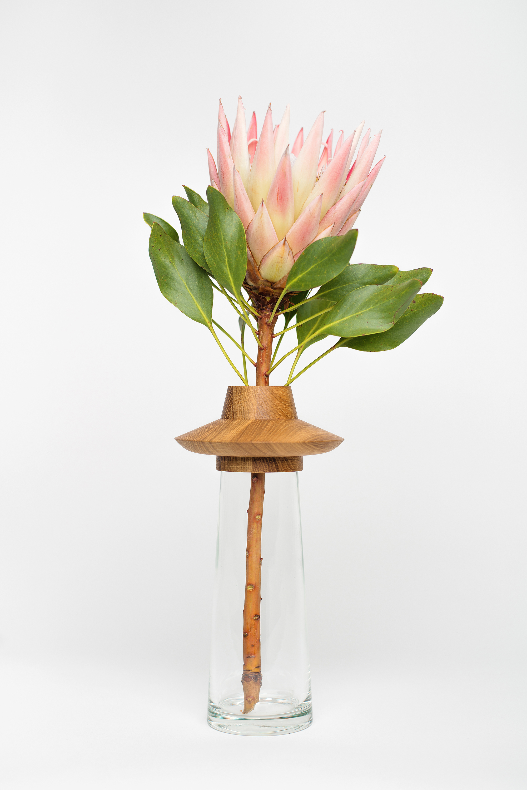 woodiness，Lotus，Glass，Ufological，Vase design，ufo，Flying saucer，Ufologicalvase，