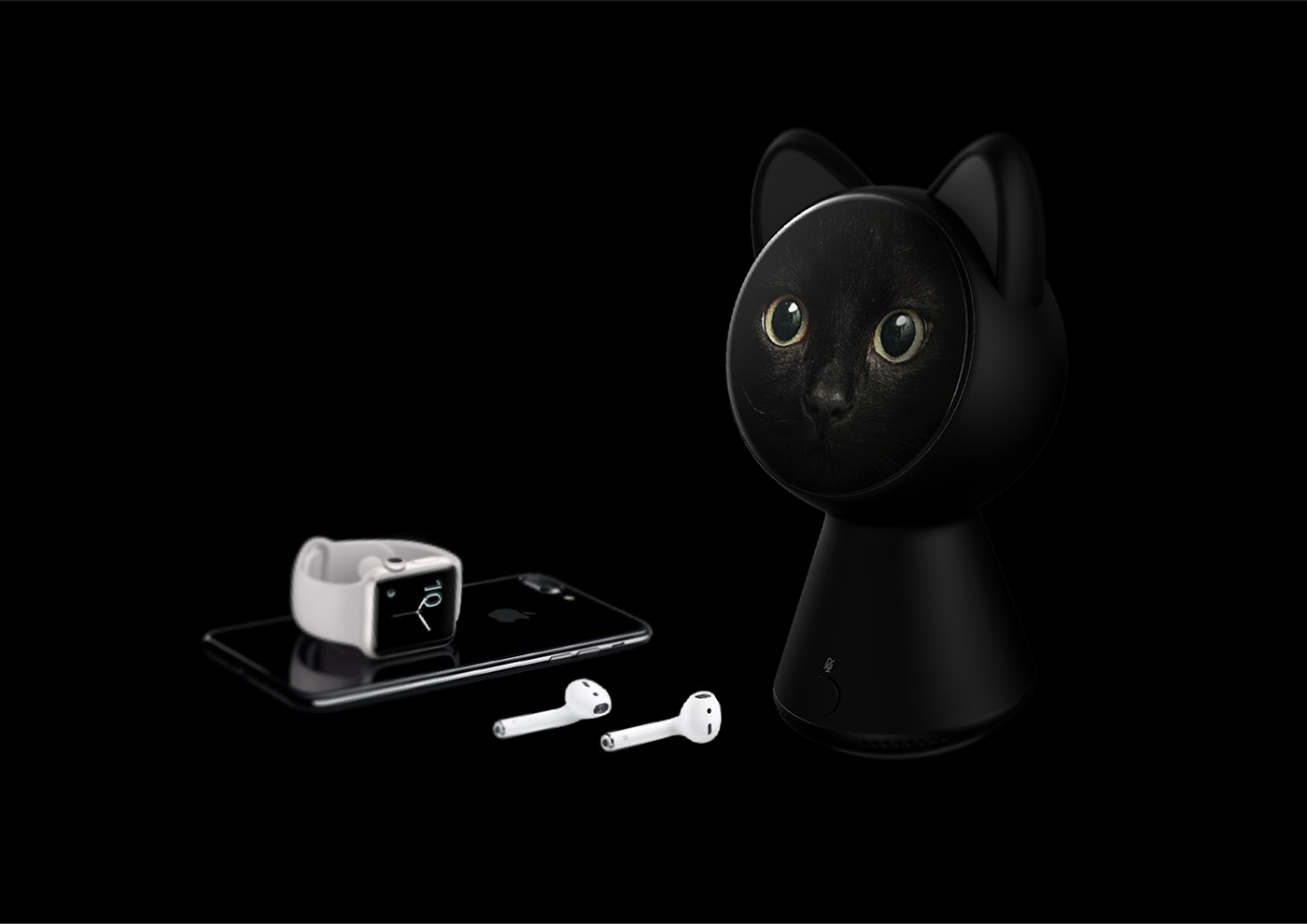 black cat，intelligence，black，Home Furnishing，apple，app，