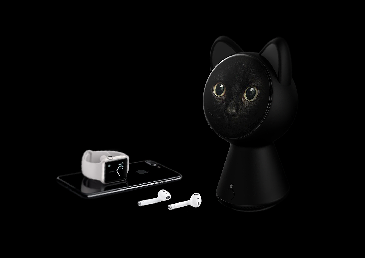 黑猫，智能，黑色，家居，apple，app，