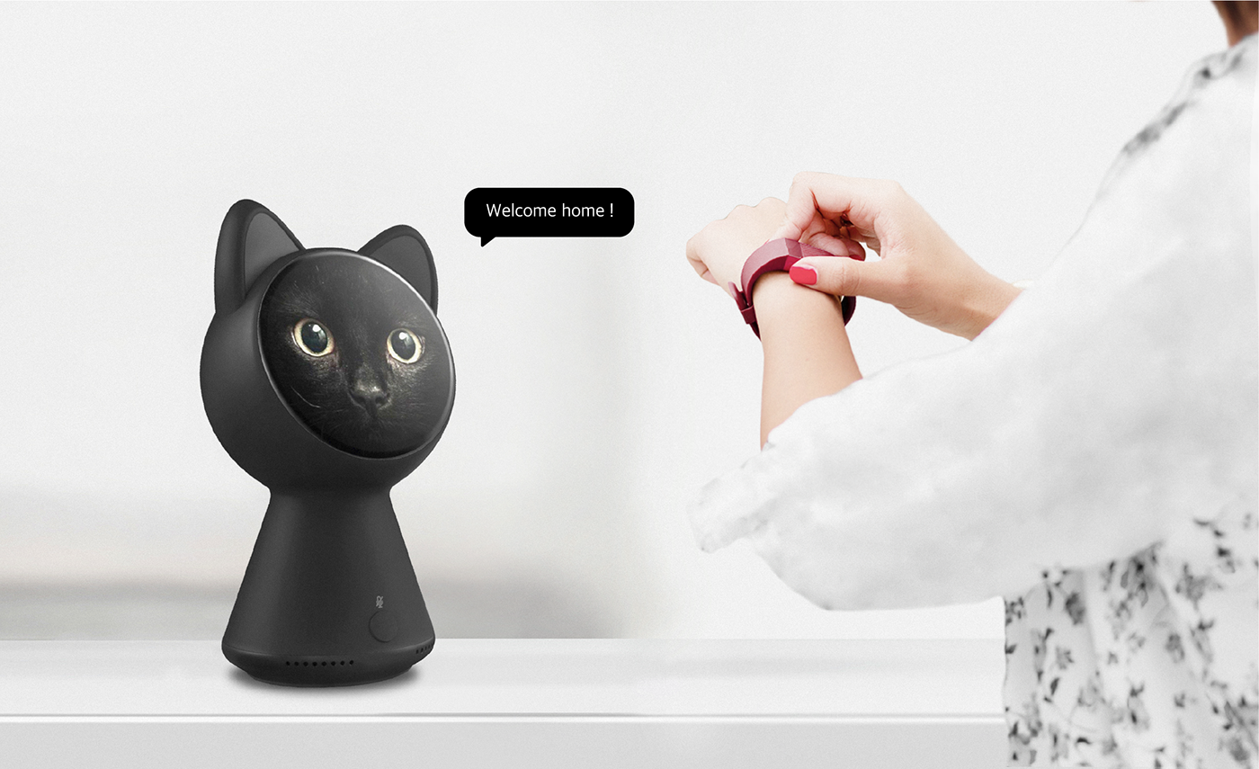 black cat，intelligence，black，Home Furnishing，apple，app，