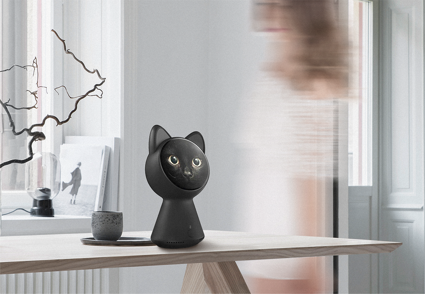 black cat，intelligence，black，Home Furnishing，apple，app，