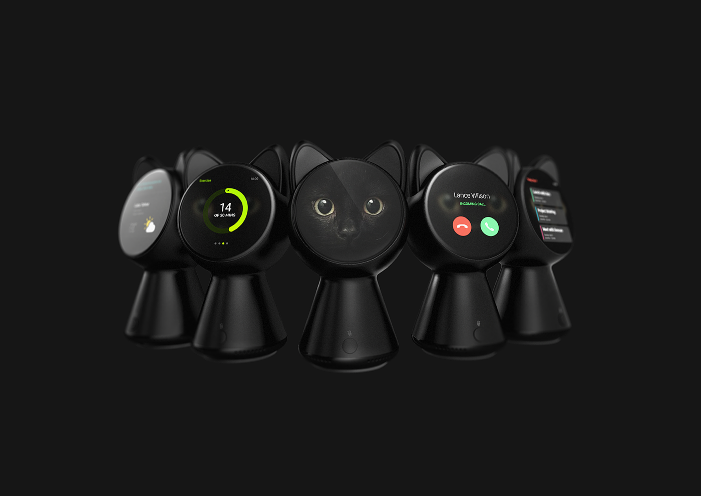 black cat，intelligence，black，Home Furnishing，apple，app，