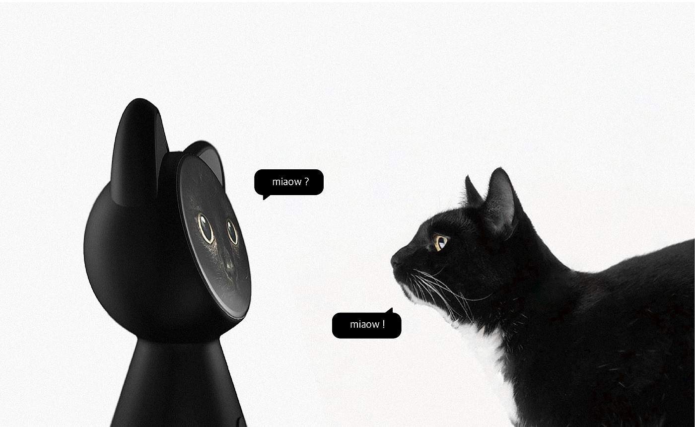 black cat，intelligence，black，Home Furnishing，apple，app，