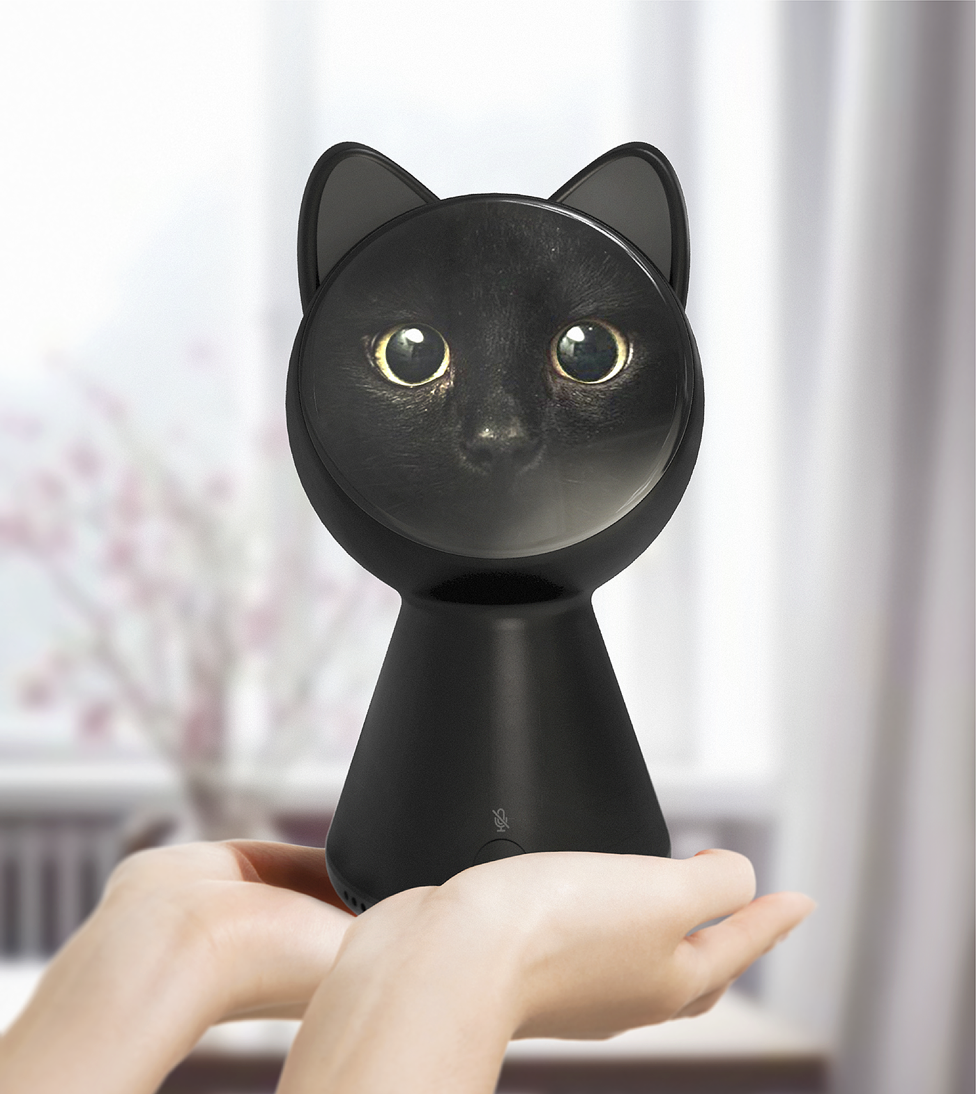 black cat，intelligence，black，Home Furnishing，apple，app，