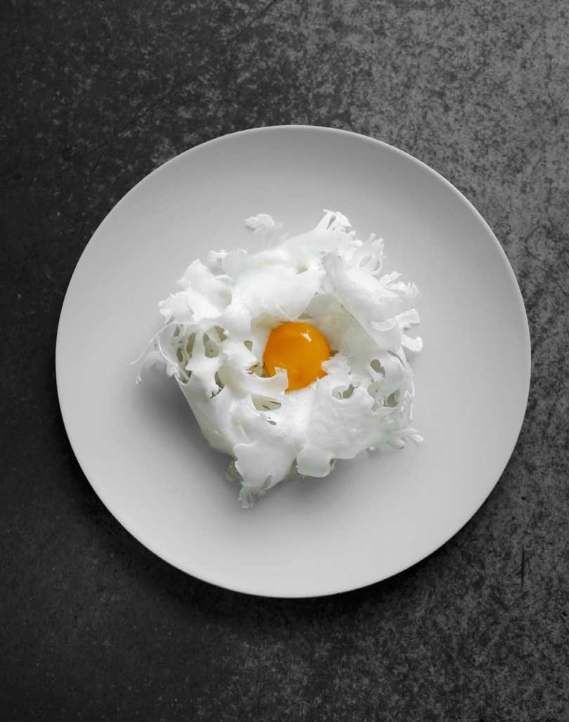 Art guidance，painting in water colours，Photography，Recipes，