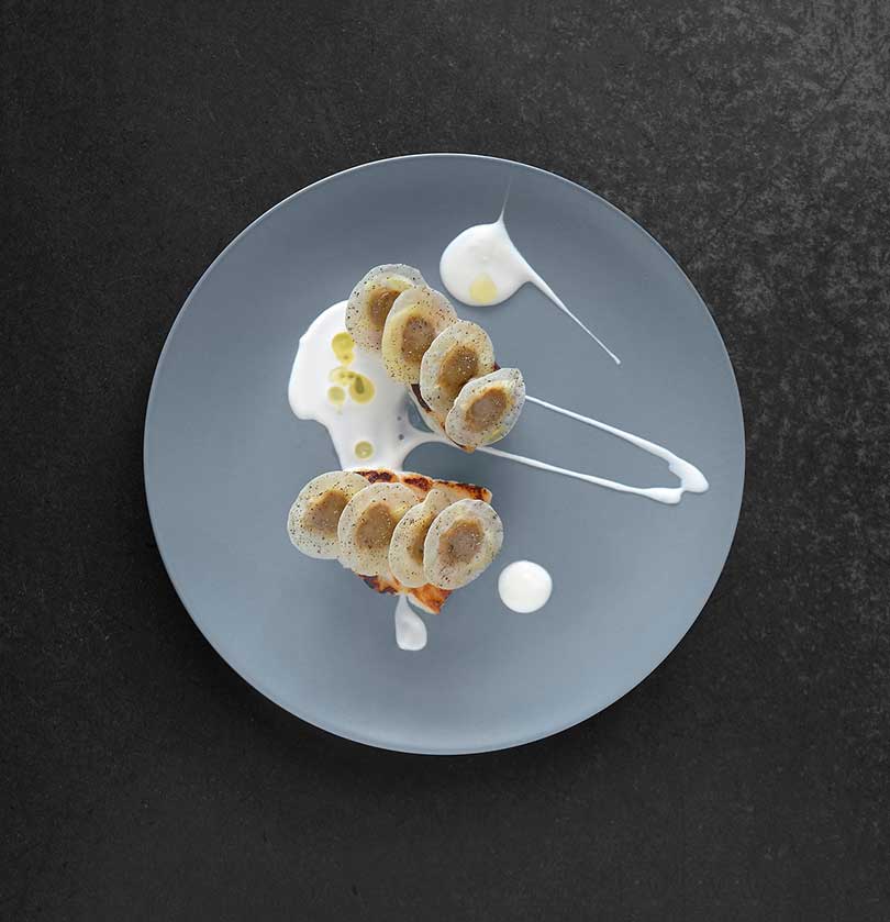 Art guidance，painting in water colours，Photography，Recipes，